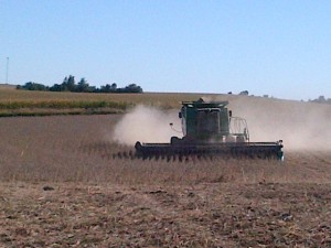 Harvesting Soya